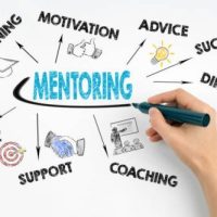 Mentorship Program for Individual